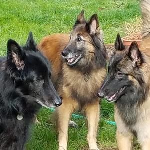 Meet your Posher, Barbara